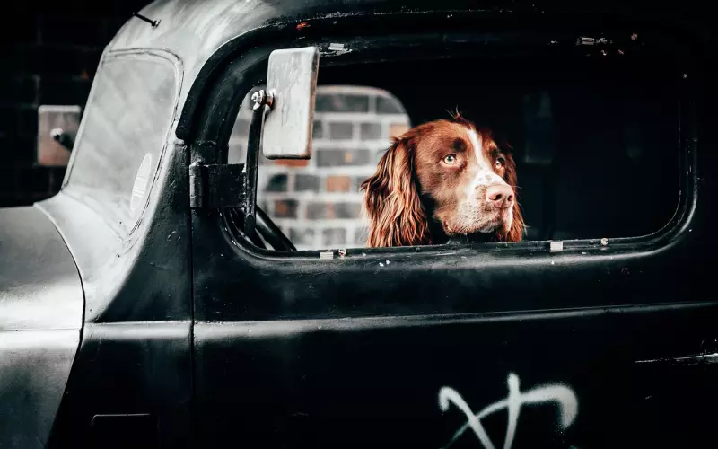 挽回男朋友有效的发朋友圈方式