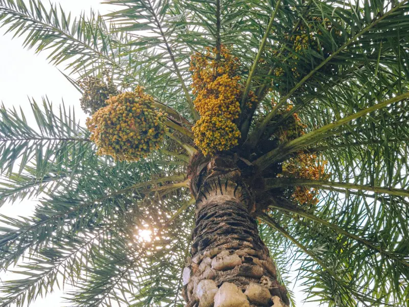 老司机教你追求女生的2大技巧，让她倒贴追你！
