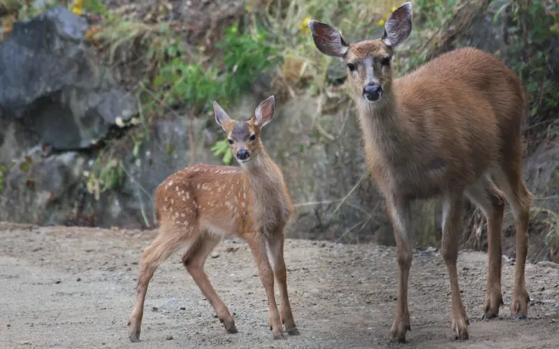 急性子的人，原来这么好！