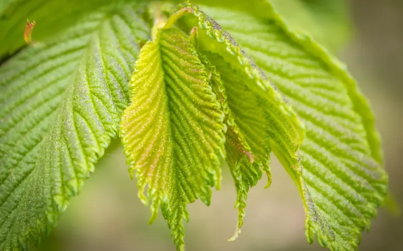 大龄女生第一次相亲就碰到了渣男！