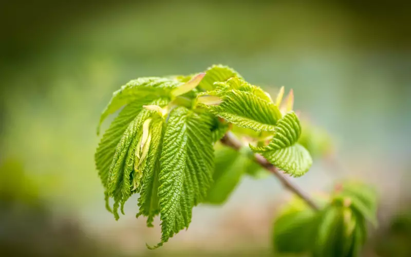 大龄女生第一次相亲就碰到了渣男！