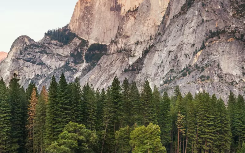 党员婚外情案例剖析(女性婚外情案例剖析三十三)