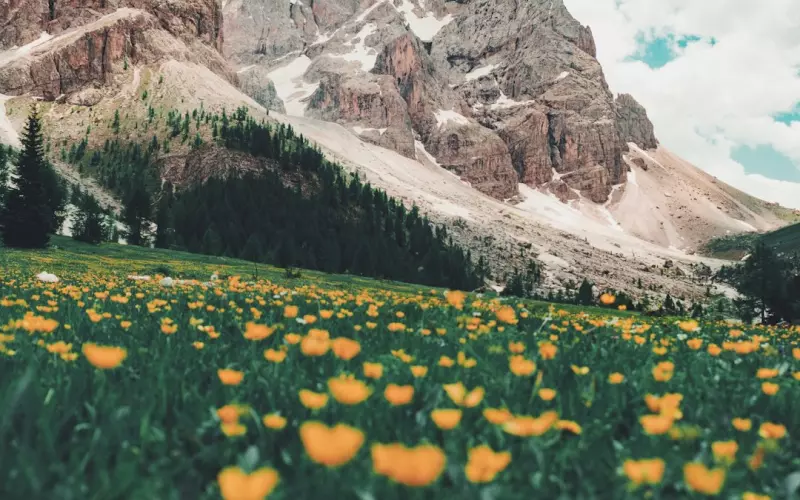 党员婚外情案例剖析(女性婚外情案例剖析四)