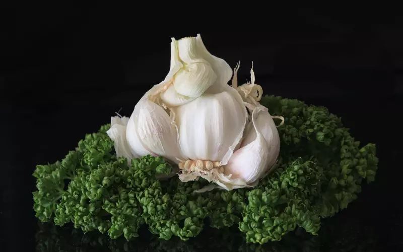 二次吸引挽回爱情技巧解析