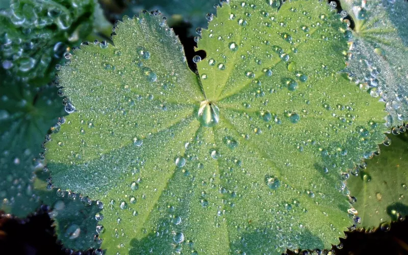 男友出轨找补婚前杀价的原因分析