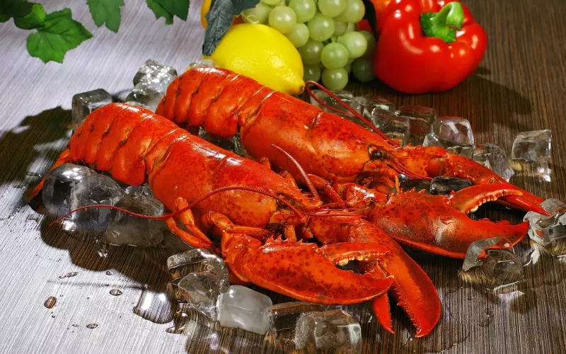 透析老公出轨的想法