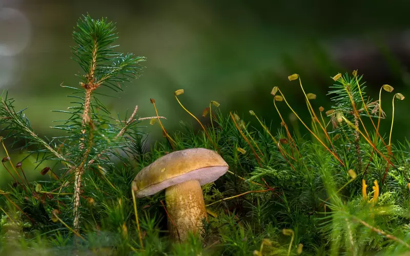 古训：话不可随口，事不可随心，人不可随意