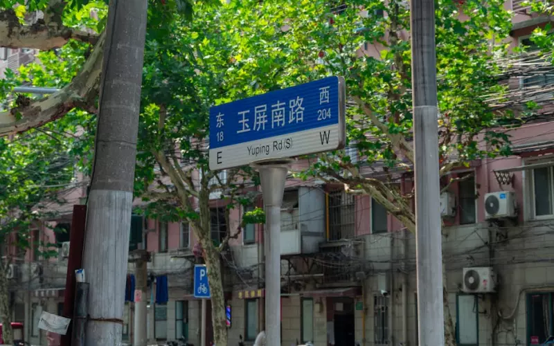 闹心的网恋(狼狈的网恋)