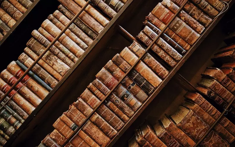 匿名老司机传授恋爱经验，干货满满你值得收藏！