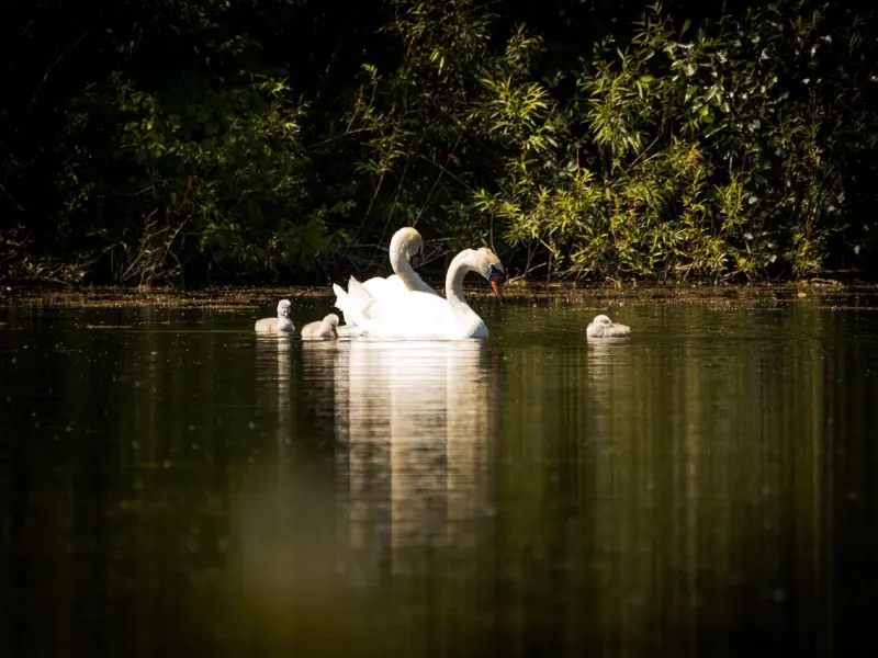 有问必答 | 把握男人这特性，才能掌握高格局