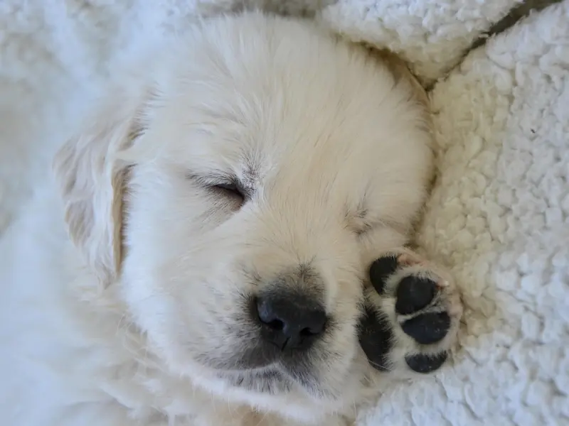 说过这三句话的, 不管男的还是女的都是“渣”