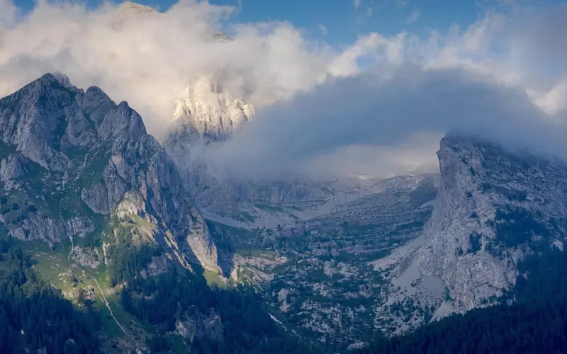 Archan Monak阿赞摩纳桃花源神巴查达“奥利奥”至尊‮版