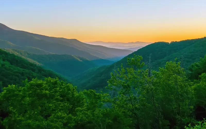 有哪些道理是失去对象之后才明白的？