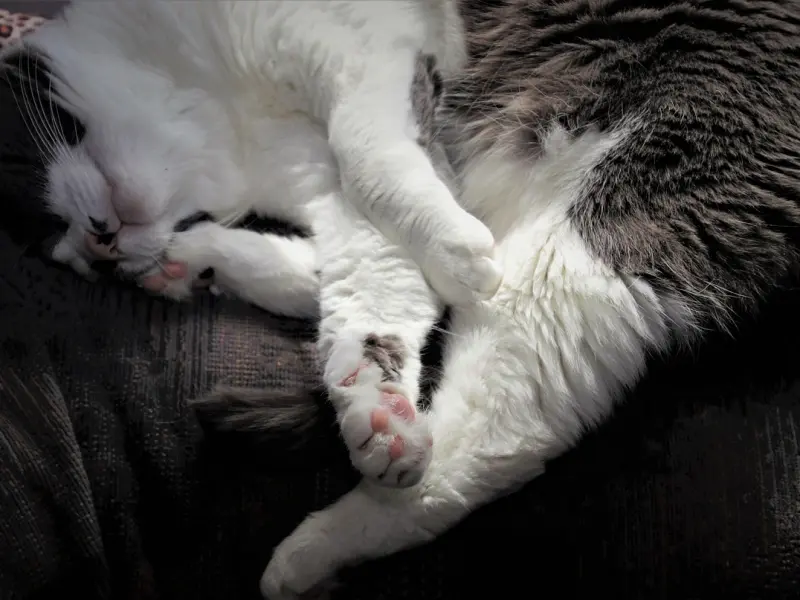 强势的你，在爱情里是否遭遇了滑铁卢呢？