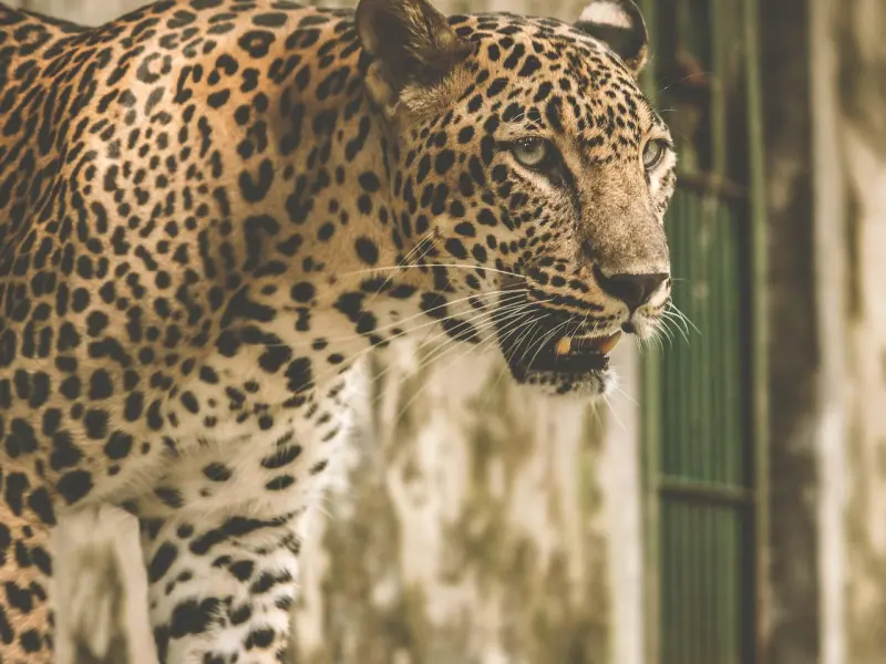 聊天怕被拉黑？5招教你聊到挽回成功没烦恼