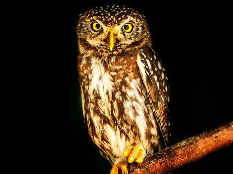 怕被老公发现出轨？情感咨询师教你这样做才是最明智的！