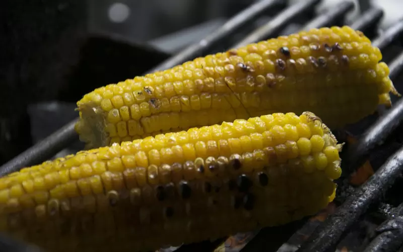 你是在为祖先祈福还是在害他们？