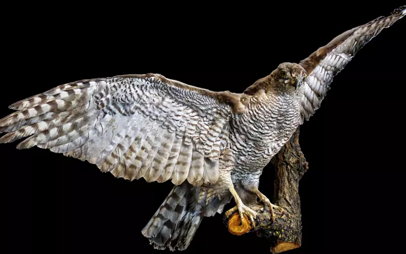 跟前任见面，你准备好了吗？