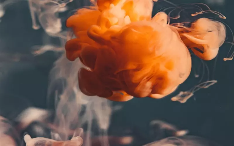 现在的你还是一个人吗？那麻烦活的精致点吧！