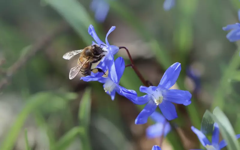 你是否为“它”而痛苦不堪！