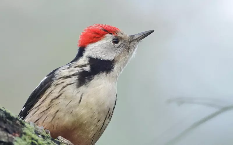 挽回中你最可能遇到的5个问题，中招了吗？