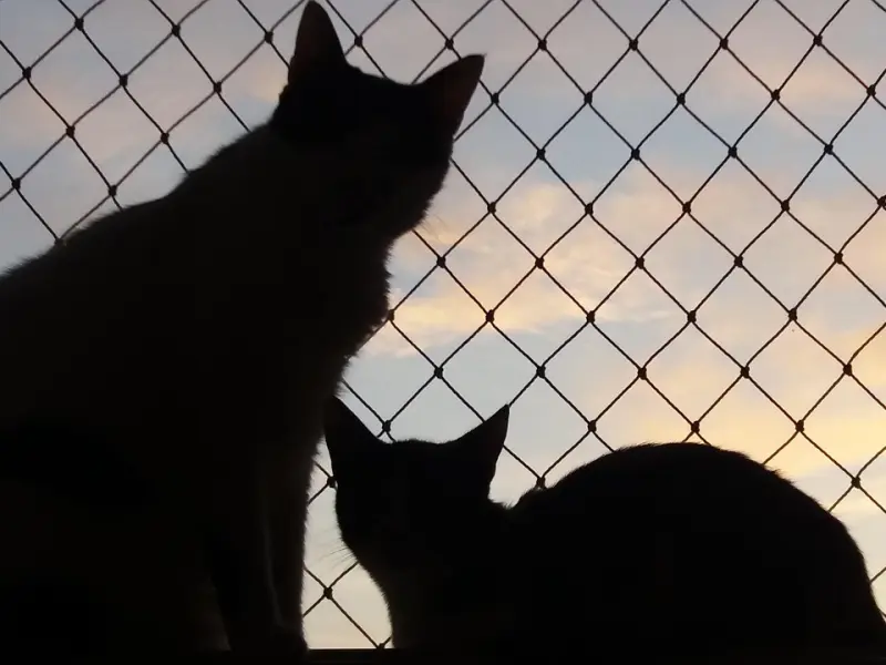 这些行为你是在挽回老公，还是将老公推向小三