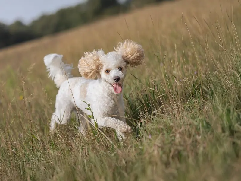 在挽回过程中，你是否没有把握，这4点助你成功