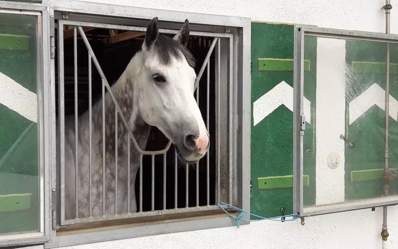 文章、马伊琍离婚：和好容易，如初太难？