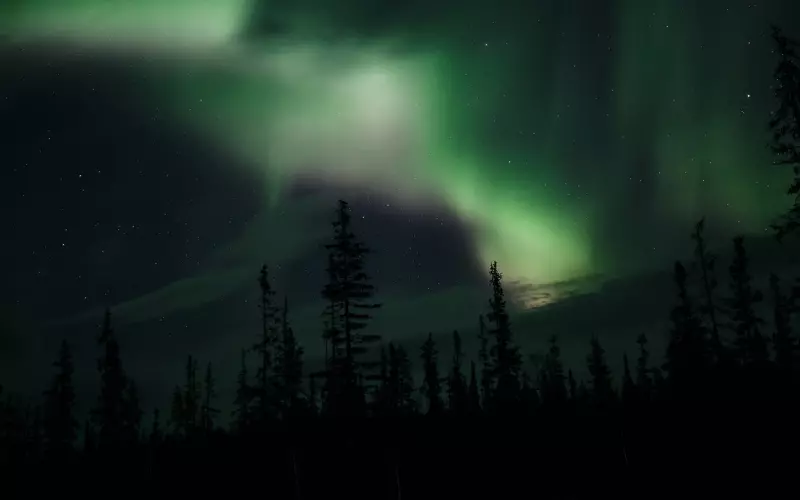 做人，别失信，别忘恩，别伤人心！