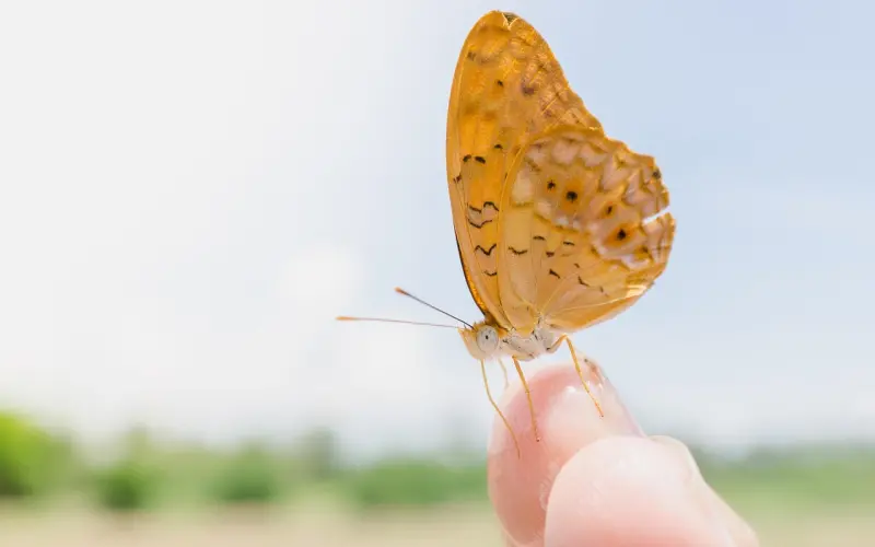 做人，品德很重要！