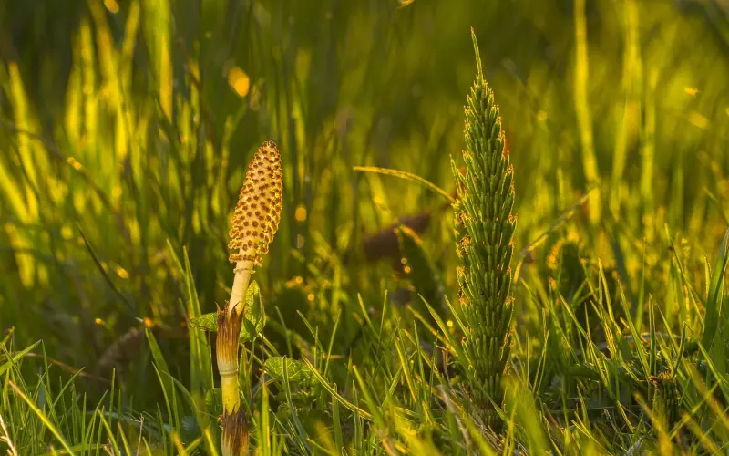做人，要学会一笑而过！