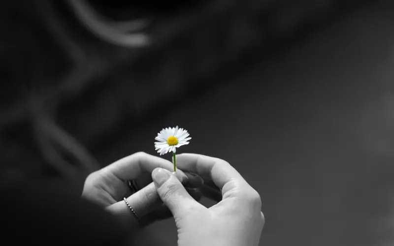 走着走着，已经到了玩不起的年龄（致自己）