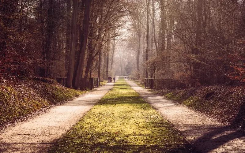 走着走着， 一切都变了.....