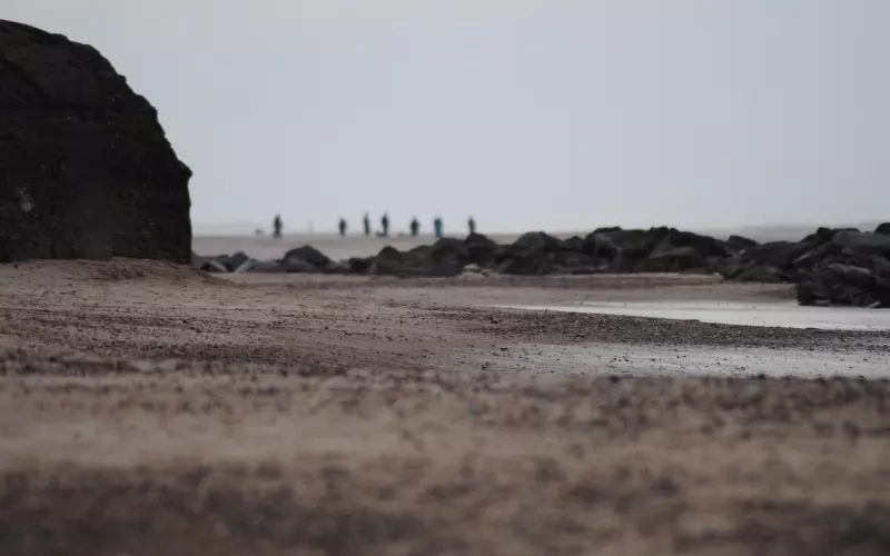 走着走着，我明白了……