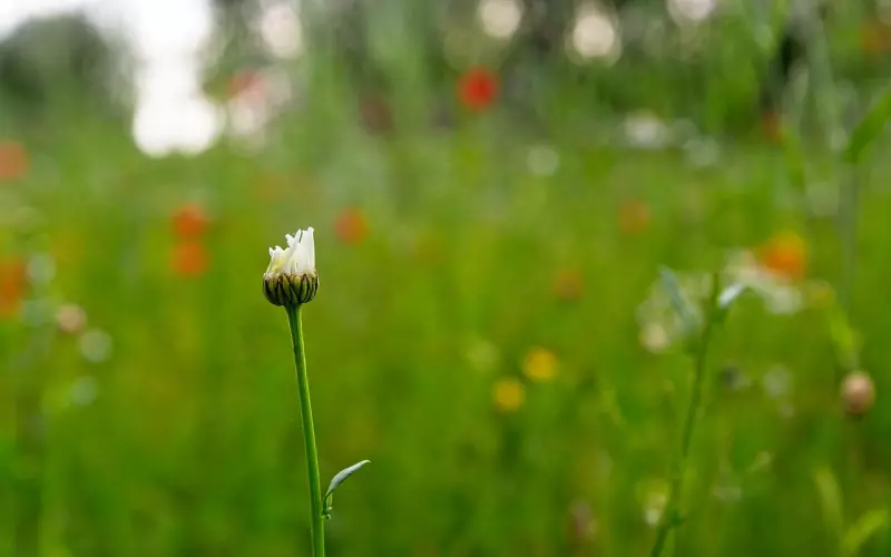 婚姻感情问题只要是你想咨询求助咨询，说明解决问题就要从你入手“欲改变外在，首先要改变内在；要想让事情变的更好，先让自己变的更好”