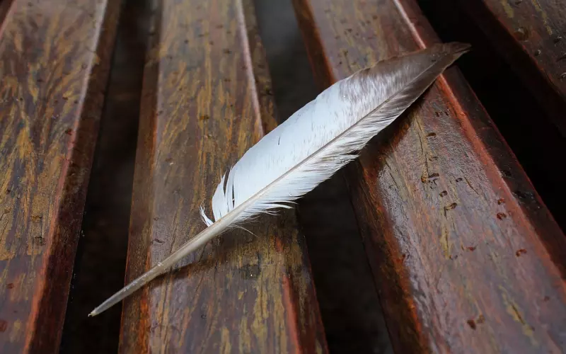 俗语：“腿软不同房”，重点在下半句，可惜十人九不知！