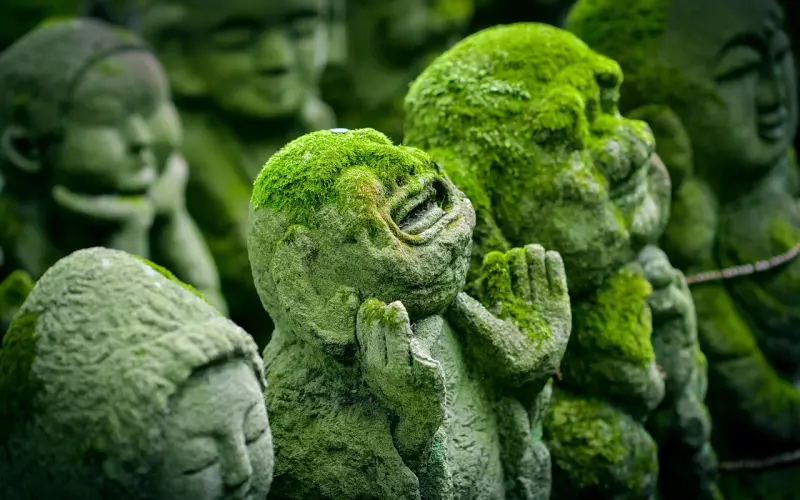 拿图找人鉴定佛牌是最外行的做法