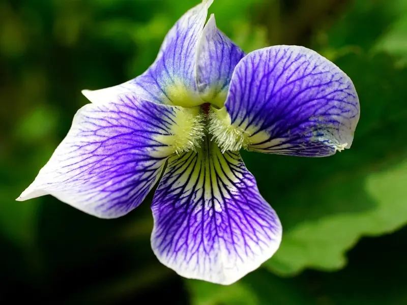 【占星日】2014/6/30~7/6