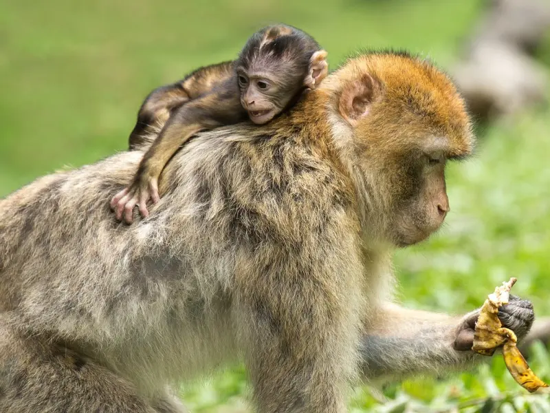 【占星日】2014/7/7——7/13