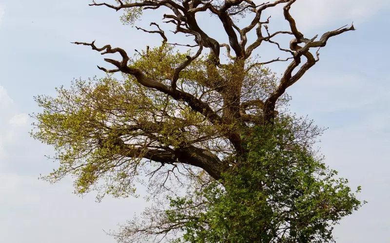 三十六岁这年，因为美颜照片见光死的网恋，狠狠打醒了我