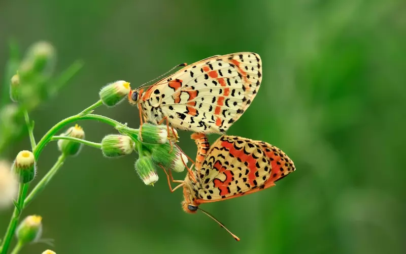 凌晨两点，她的这个行为让挽回变得更难了