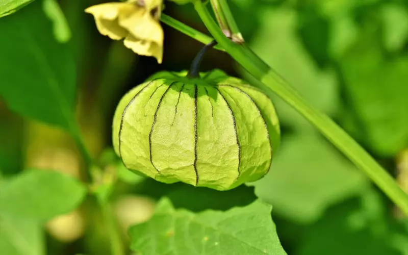 秋已逝冬将至：今日立冬，愿你冬不寒，心有暖