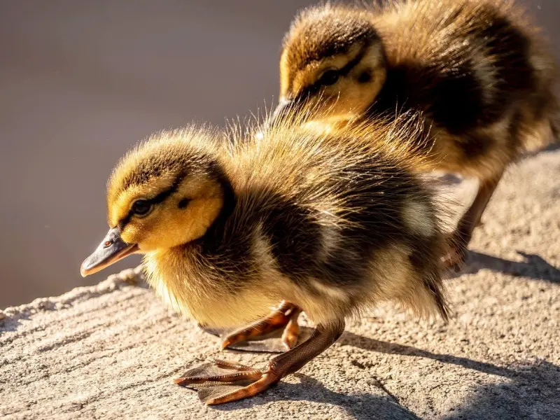 避开分手小矛盾，让相爱的两人更长久？