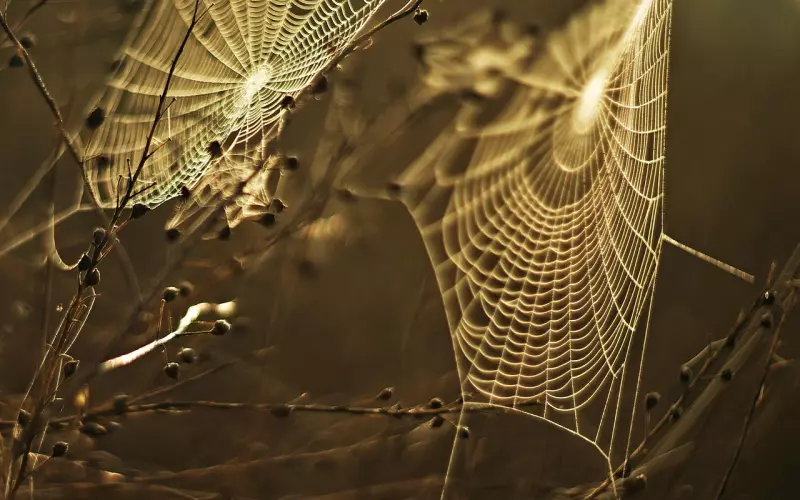 挽回男友切忌自身三大陷阱