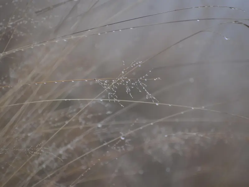 长期相处的感情避开这五个误区可以降低分手率