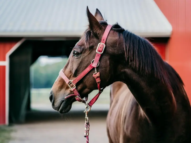 尬聊最致命，教你四种最好用的聊天话题！