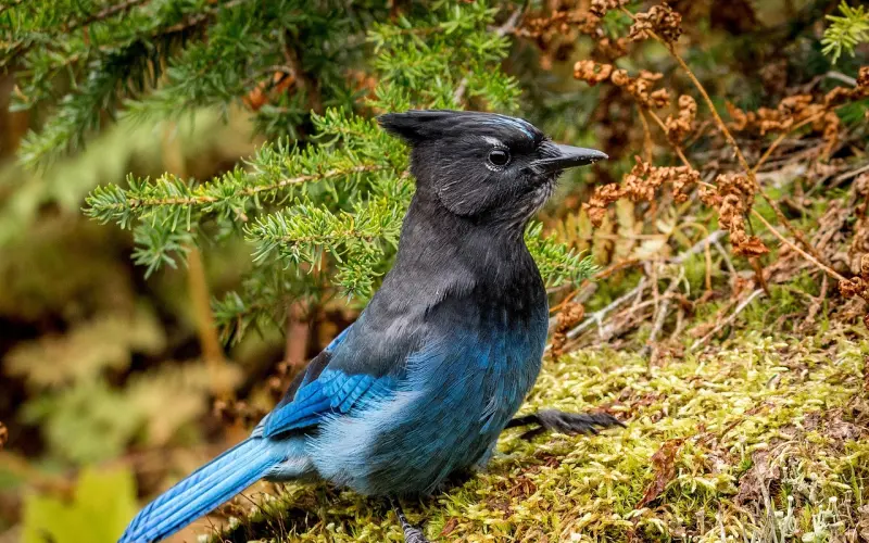 百合网走进成都企业高校为爱情开讲，周小鹏等专家齐坐镇