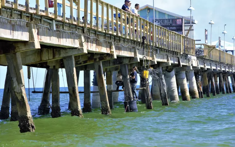 八一下找情感修复公司挽回男友的经历