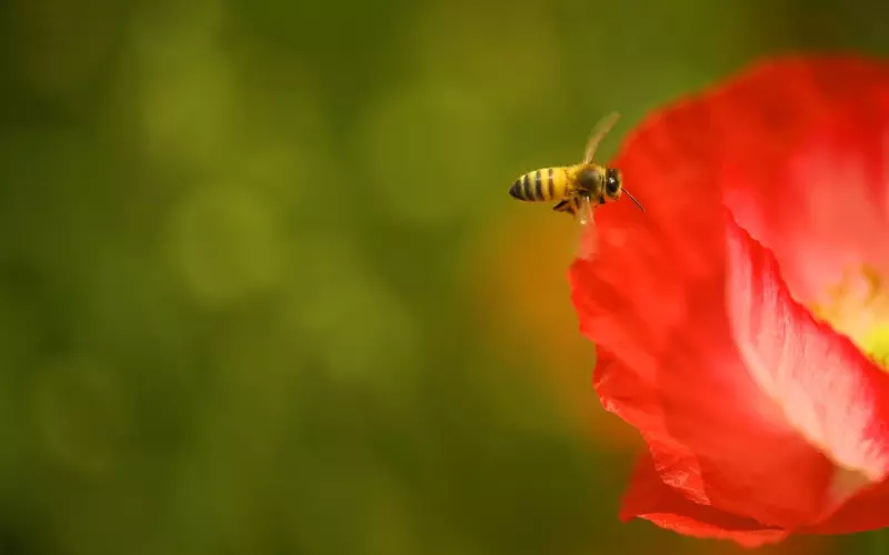 勇敢地改变自己，为挽回男友制造机会