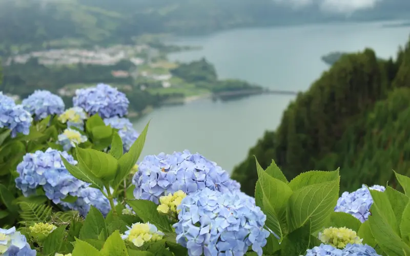 当心！七个举动吓跑你的意中人